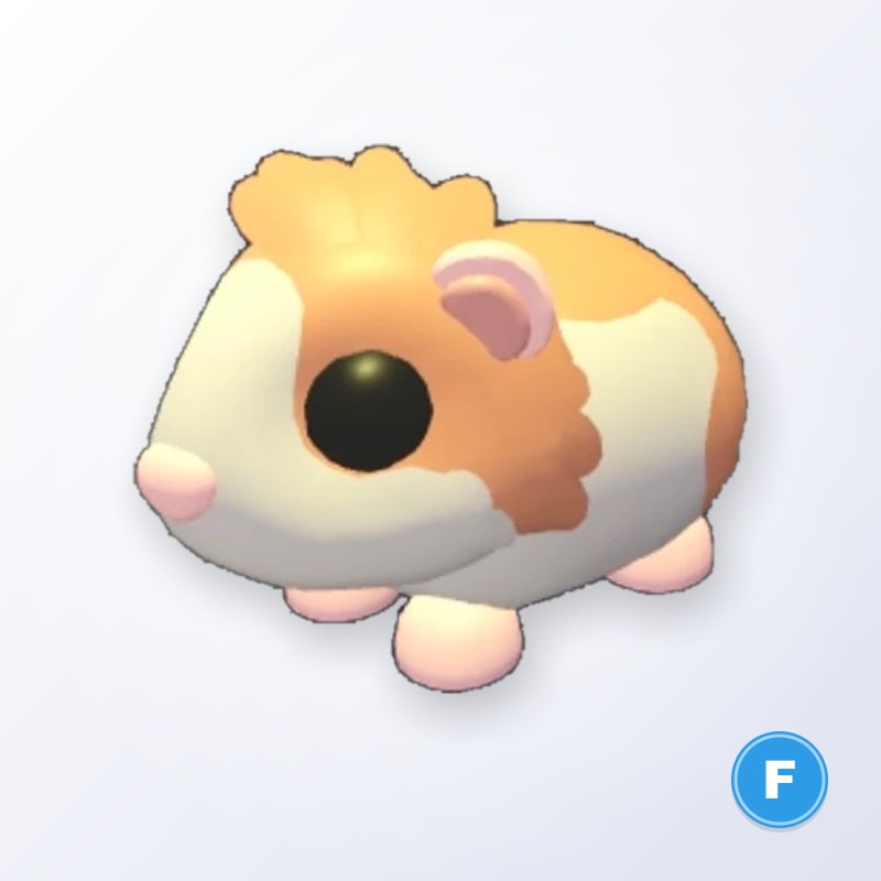 Red Dutch Guinea Pig F | Adopt Me