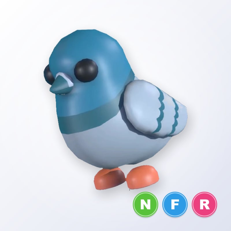 Rock Pigeon NFR | Adopt Me