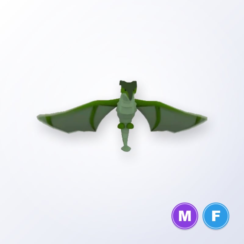 Wyvern MF | Adopt Me