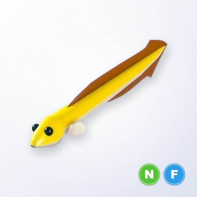 Eel NF | Adopt Me
