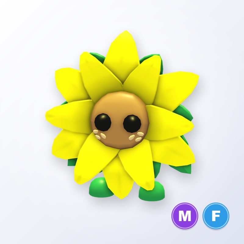 Sunflower Friend MF | Adopt Me