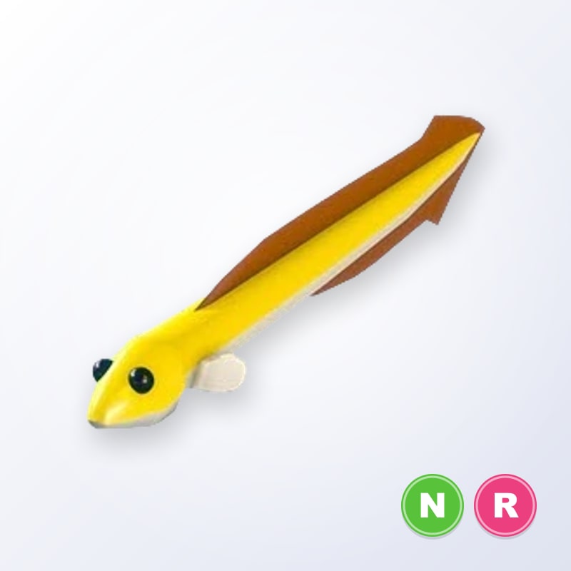 Eel NR | Adopt Me