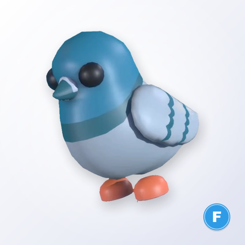Rock Pigeon F | Adopt Me