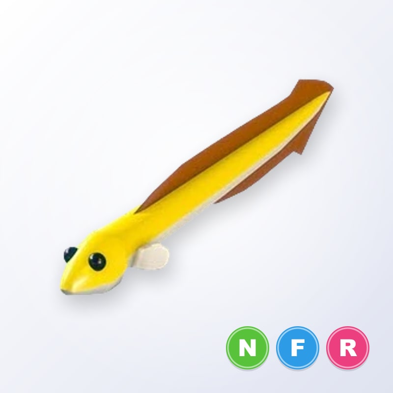 Eel NFR | Adopt Me