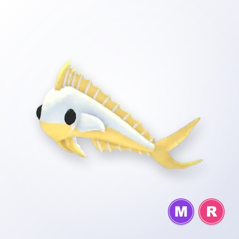 Gold Mahi Mahi MR | Adopt Me