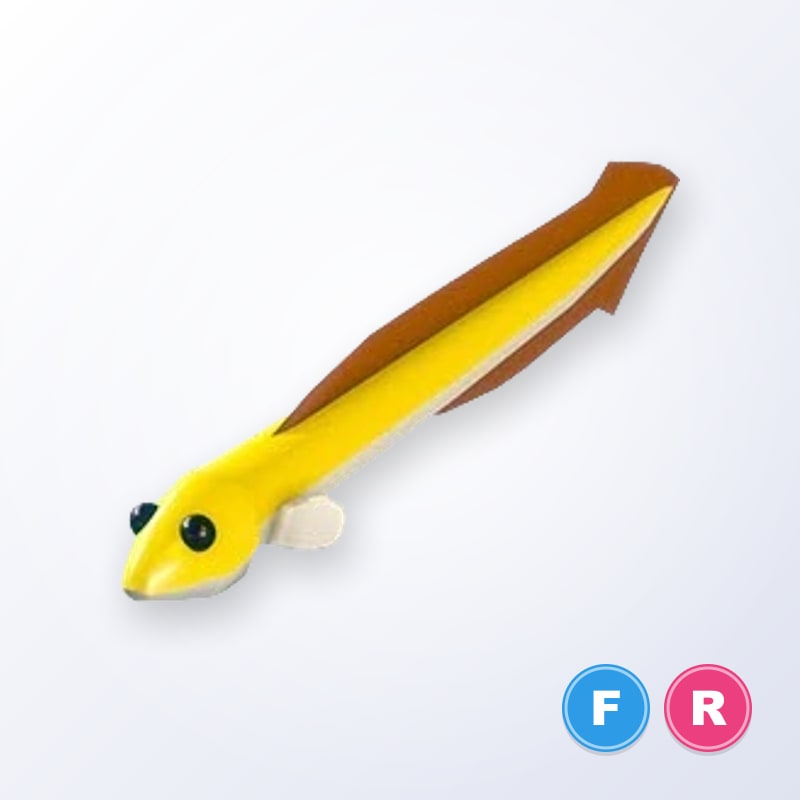 Eel FR | Adopt Me