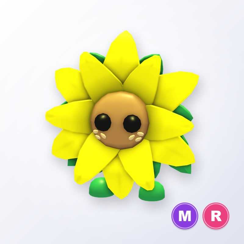 Sunflower Friend MR | Adopt Me