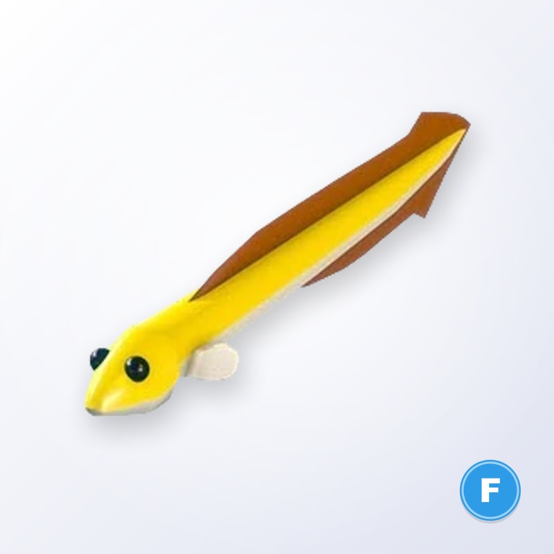 Eel F | Adopt Me