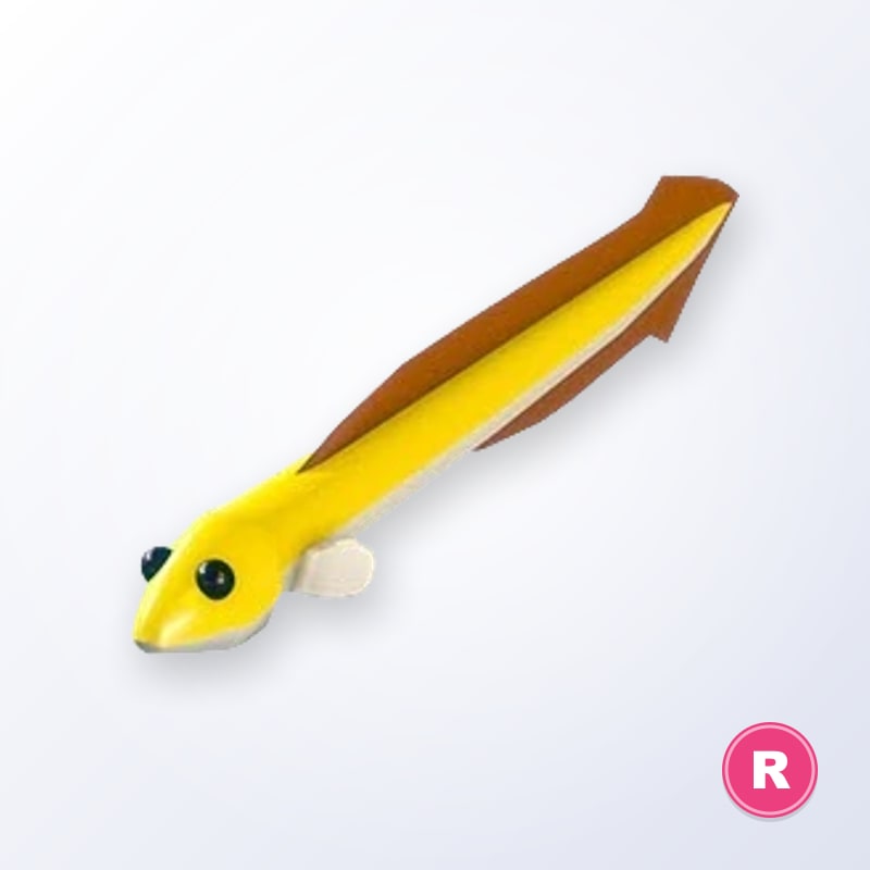 Eel R | Adopt Me