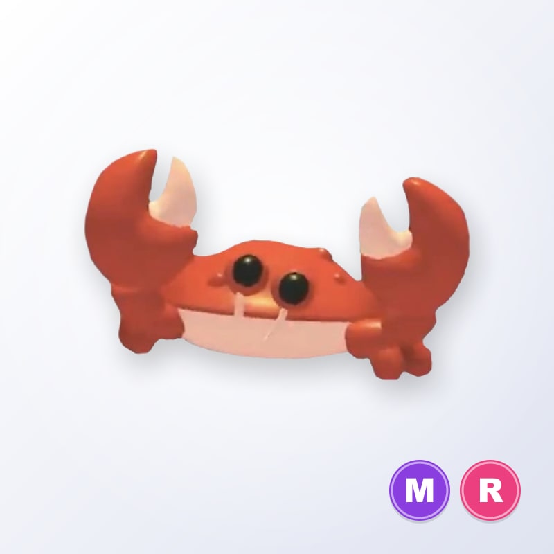 Crab MR | Adopt Me