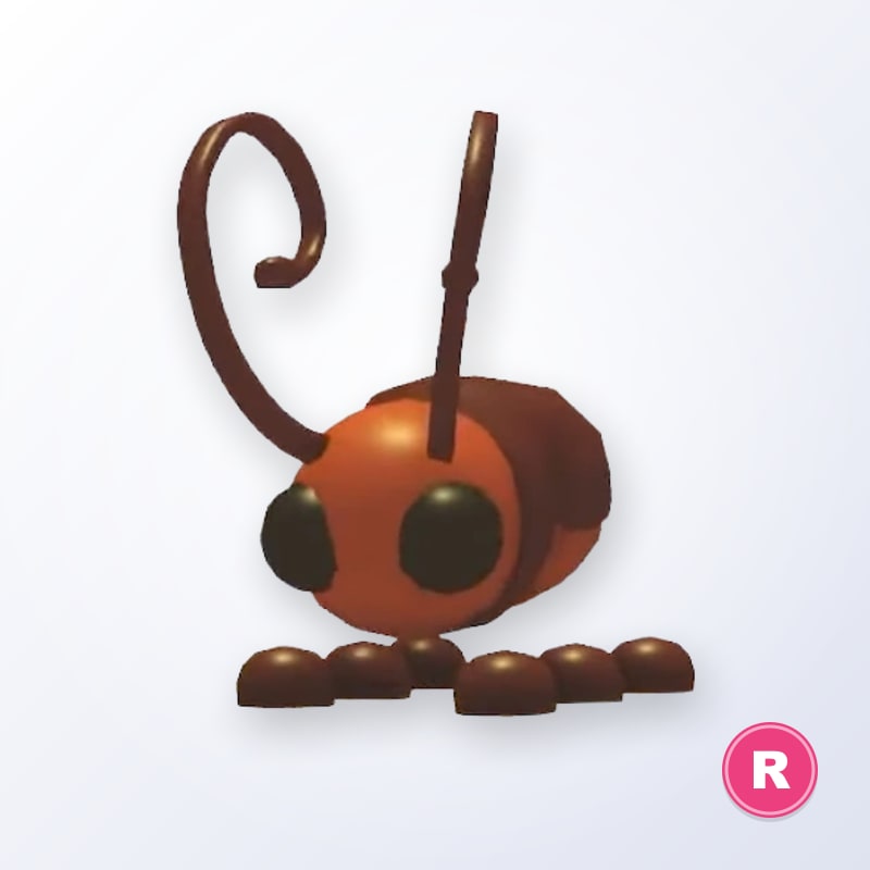 Cockroach R | Adopt Me