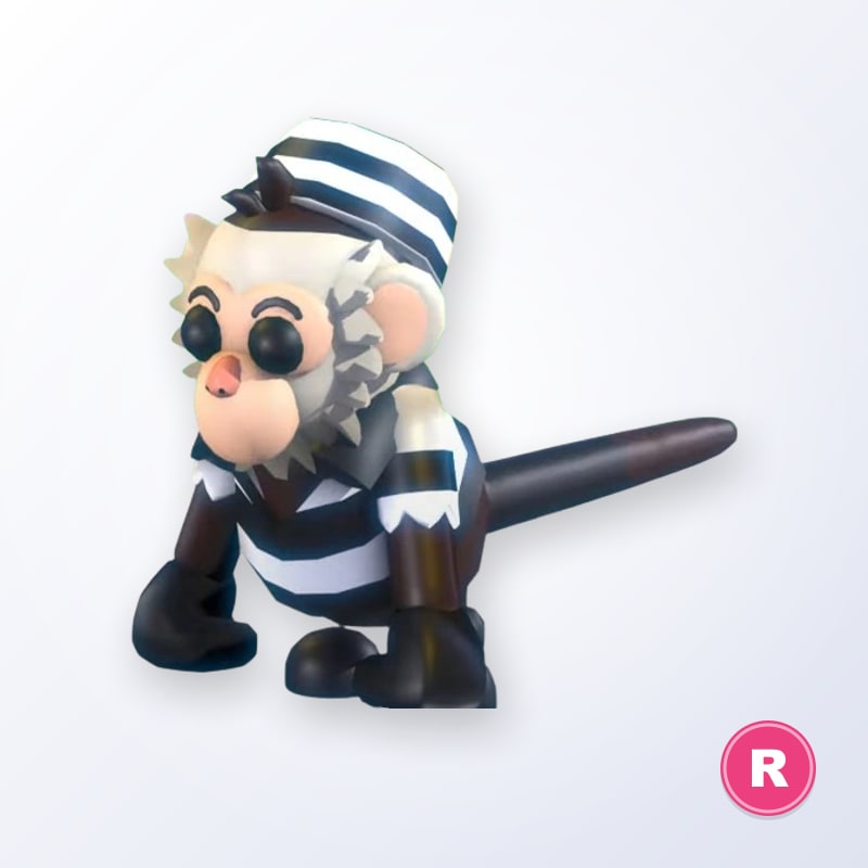Inmate Capuchin Monkey R | Adopt Me