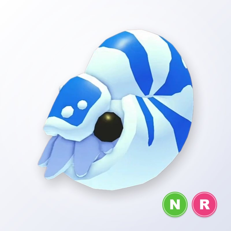 Nautilus NR | Adopt Me