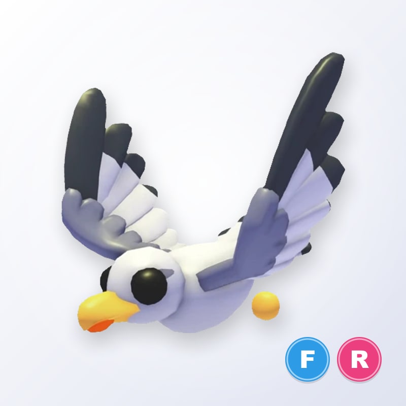Seagull FR | Adopt Me