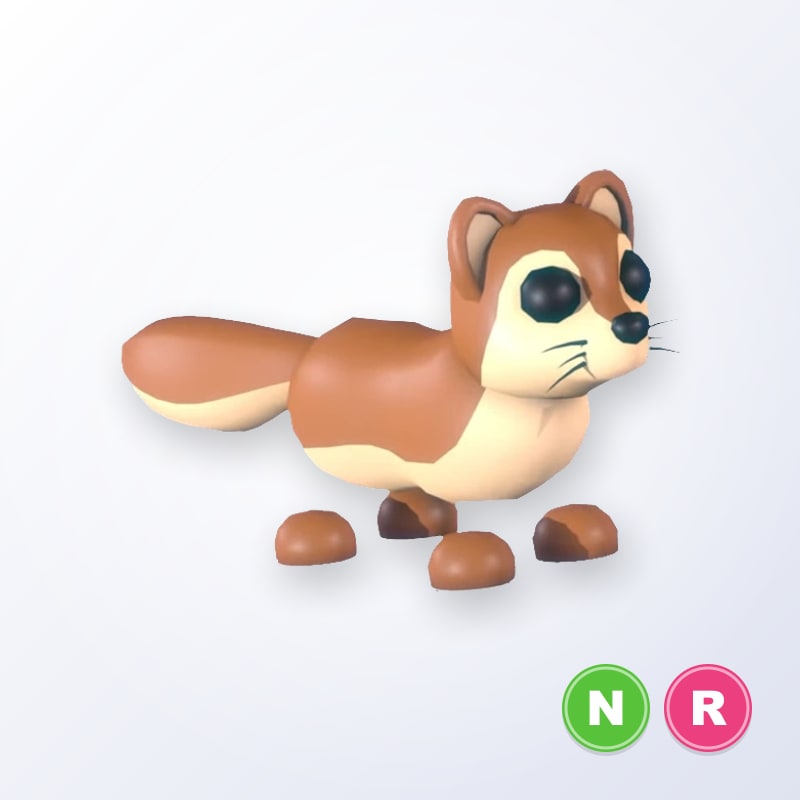 Mongoose NR | Adopt Me