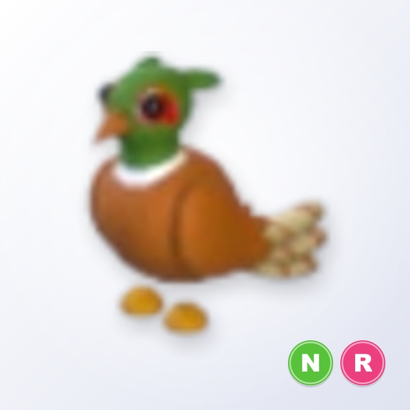 Brown-chested Pheasant NR | Adopt Me