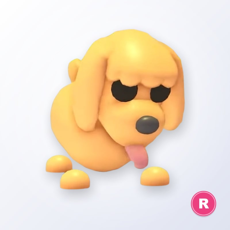 Toy Poodle R | Adopt Me