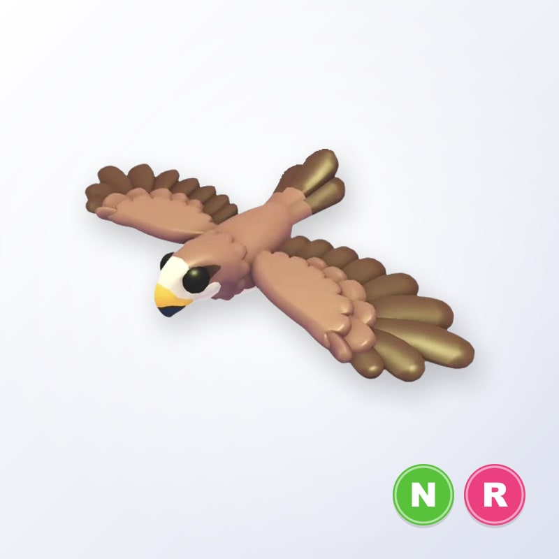 Black Kite NR | Adopt Me