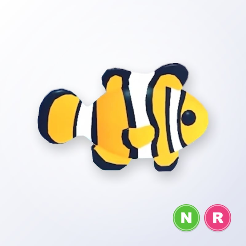 Clownfish NR | Adopt Me