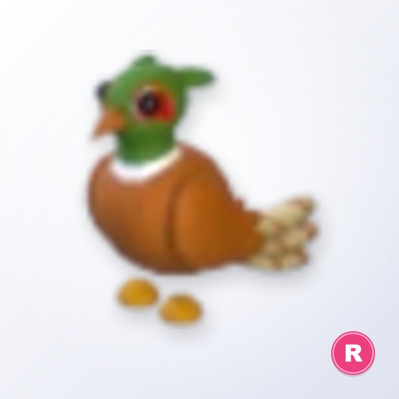 Brown-chested Pheasant R | Adopt Me