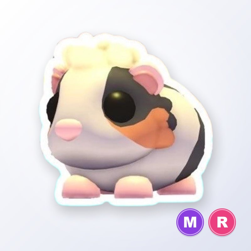 Tortoiseshell Guinea Pig MR | Adopt Me