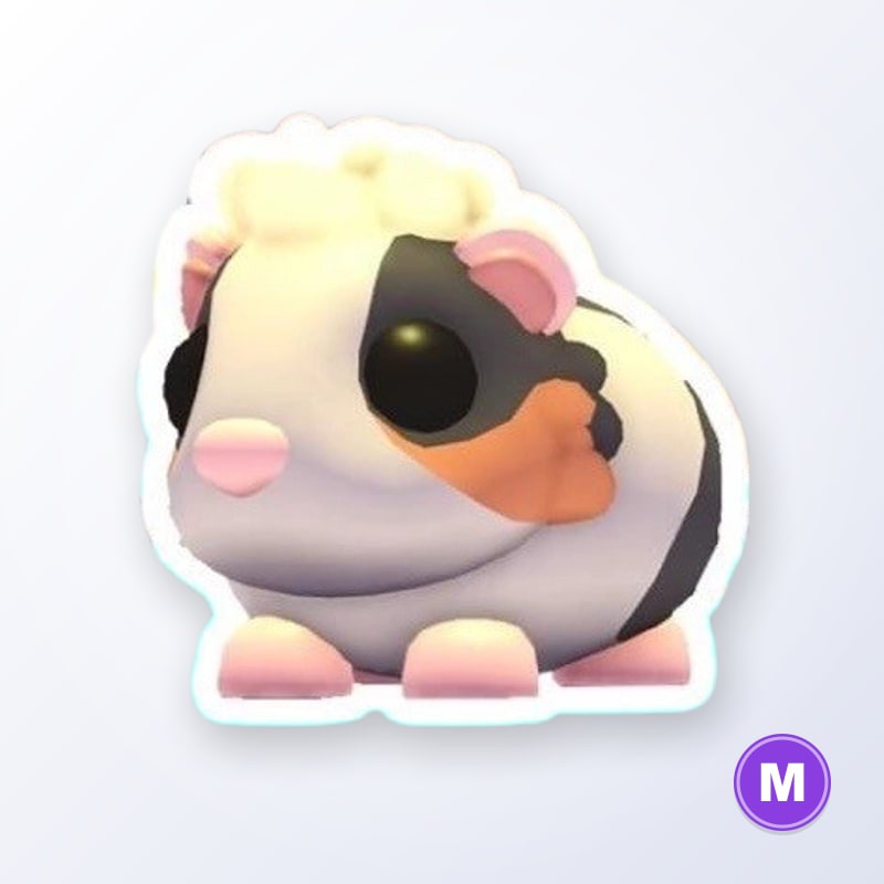Tortoiseshell Guinea Pig M | Adopt Me