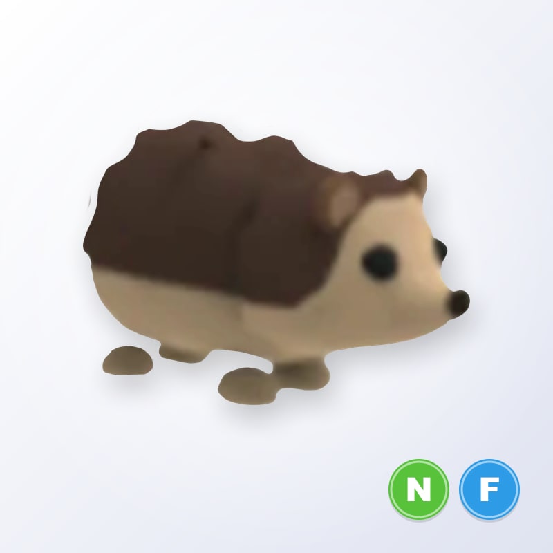 Hedgehog NF | Adopt Me