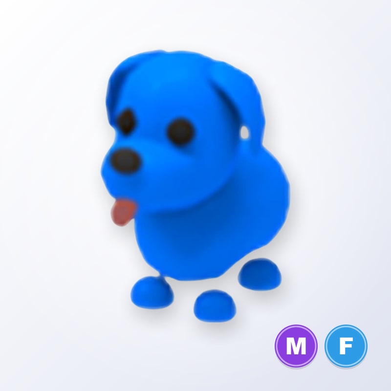 Blue Dog MF | Adopt Me
