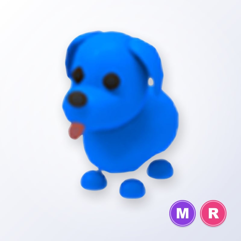 Blue Dog MR | Adopt Me