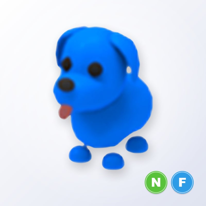 Blue Dog NF | Adopt Me
