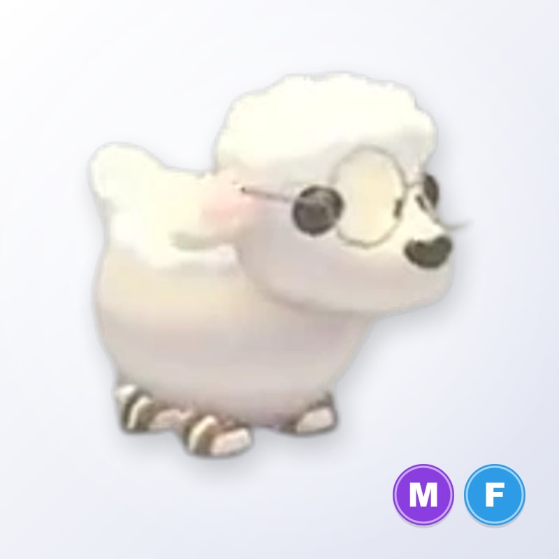 Lamb MF | Adopt Me