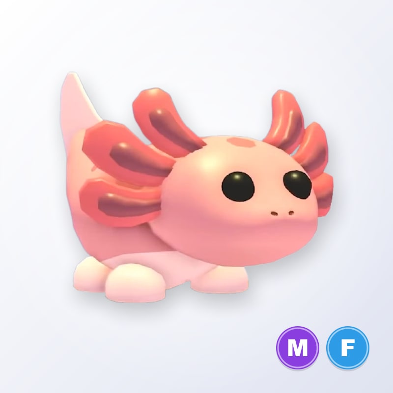 Axolotl MF | Adopt Me