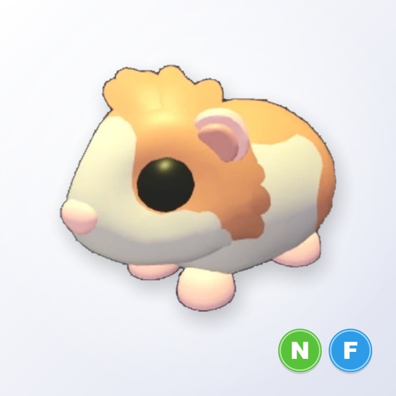 Red Dutch Guinea Pig NF | Adopt Me