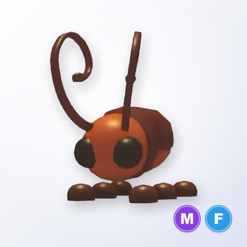 Cockroach MF | Adopt Me