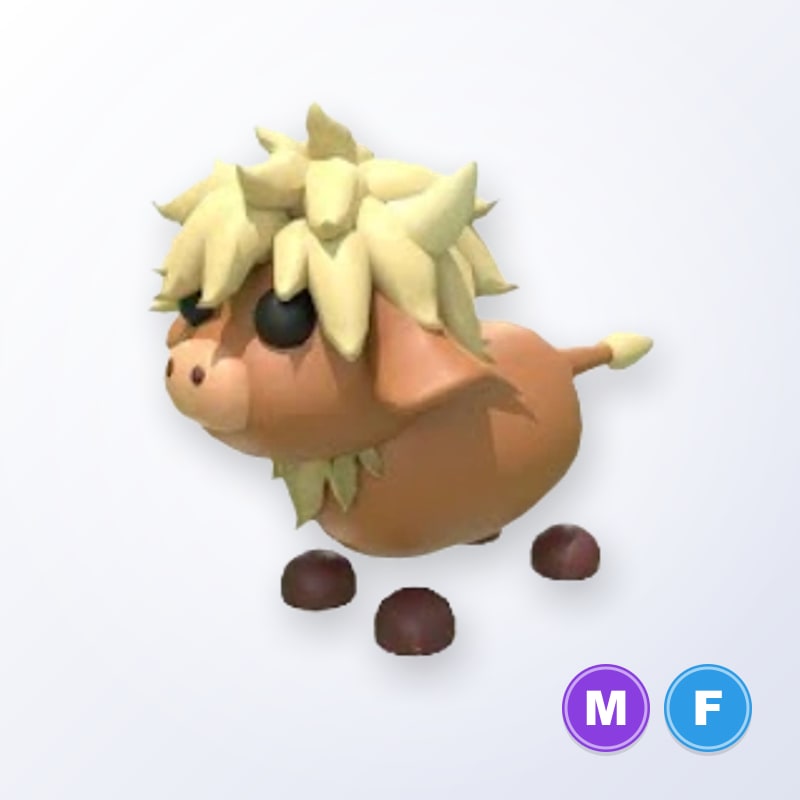 Highland Cow MF | Adopt Me