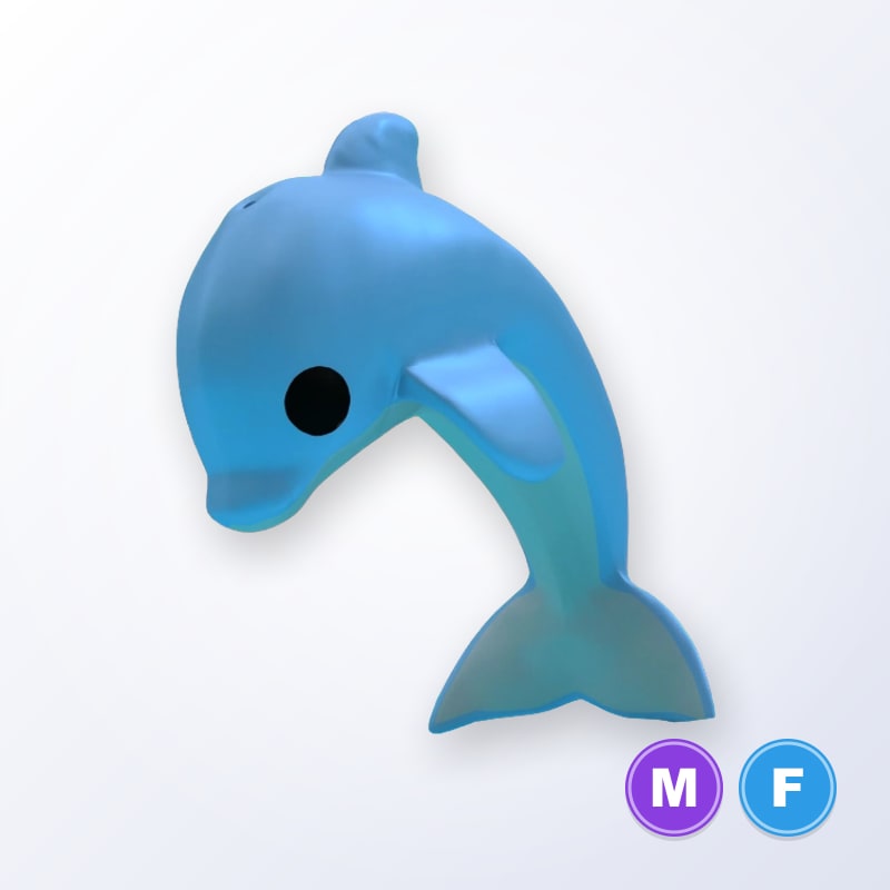 Dolphin MF | Adopt Me