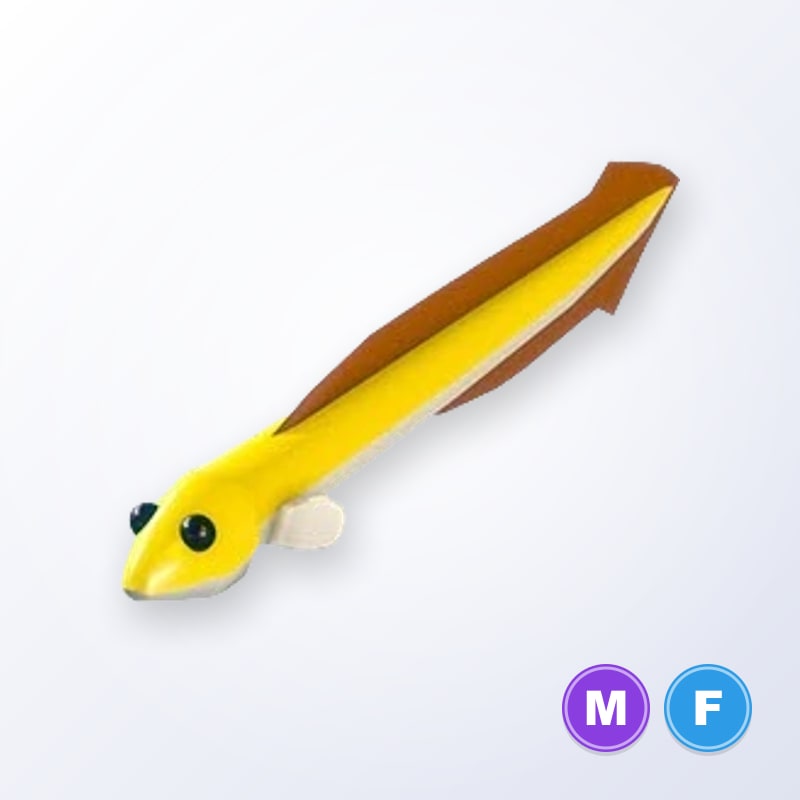 Eel MF | Adopt Me