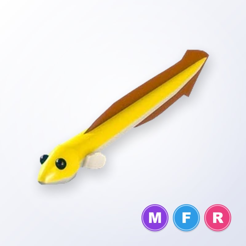 Eel MFR | Adopt Me