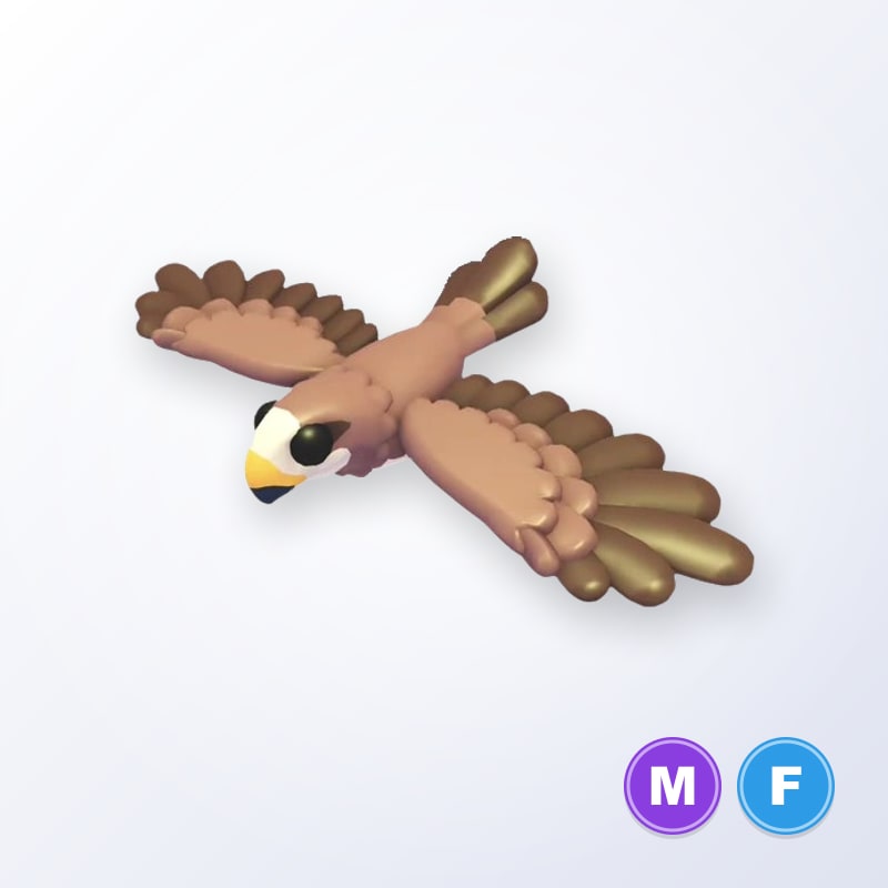 Black Kite MF | Adopt Me