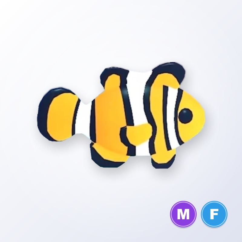 Clownfish MF | Adopt Me