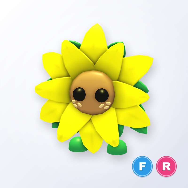 Sunflower Friend FR | Adopt Me