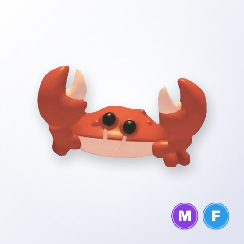 Crab MF | Adopt Me