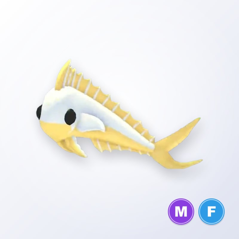 Gold Mahi Mahi MF | Adopt Me