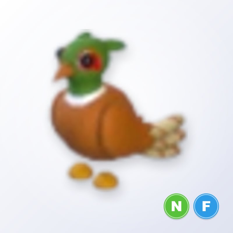 Brown-chested Pheasant NF | Adopt Me