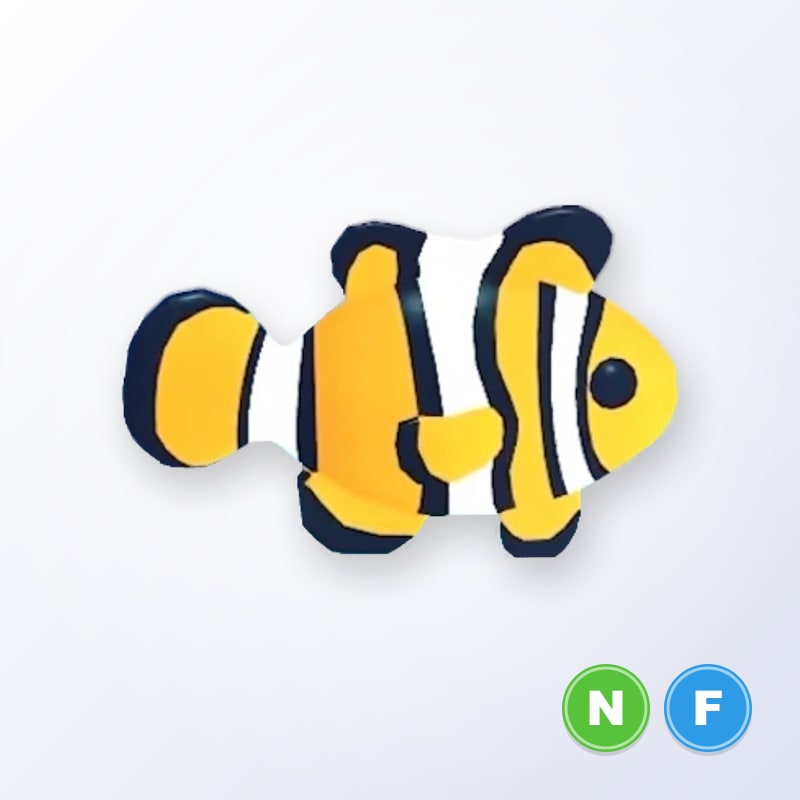Clownfish NF | Adopt Me