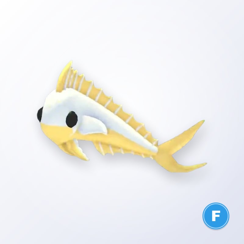 Gold Mahi Mahi F | Adopt Me