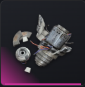 Amplified Fragments