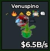 BS14971 Venuspino With Trait 6.5B/s