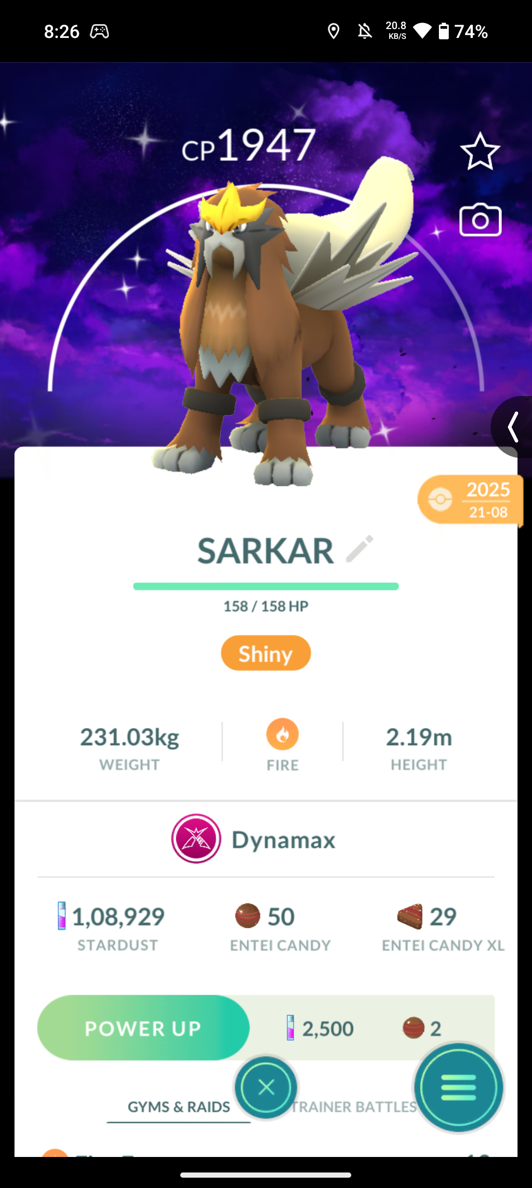 SHINY DARK BACKGROUND ENTIE ( DYNAMAX )