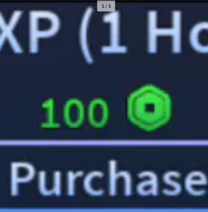 2x XP (1Hour)【100R】